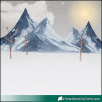 Horse Color:Red Dun Pearl Brindle 