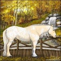 Horse Color:Palomino Ice Roan Dun Appaloosa 
