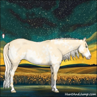 Horse Color:Gold Cream Champagne Ice Roan Dun Splash Frame 