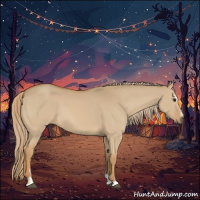 Horse Color:Red Dun Sabino 
