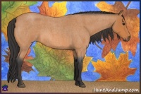 Horse Color:Bay Roan 