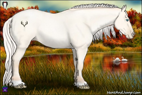 Horse Color:Silver Amber Cream Champagne Roan Pearl Dun