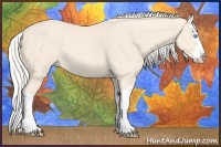 Horse Color:Cremello Splash 