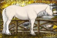 Horse Color:Cremello 