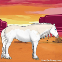 Horse Color:Cremello Splash Frame 