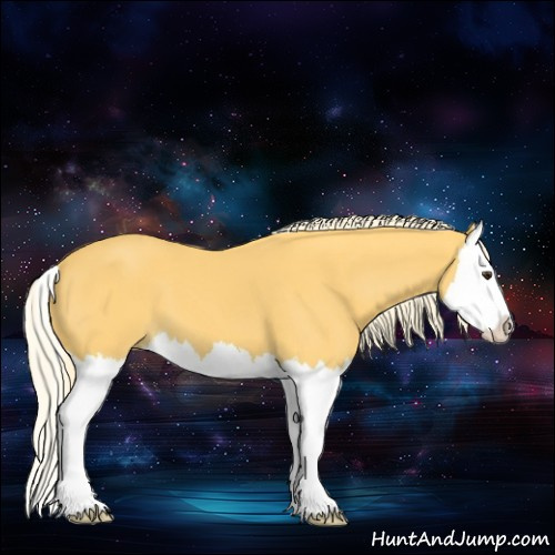 Horse Color:Palomino Splash 