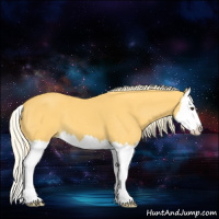 Horse Color:Palomino Splash 