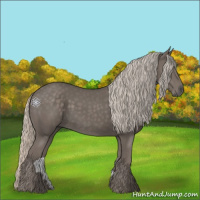 Horse Color:Silver Black 