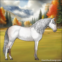 Horse Color:Gray Bay 