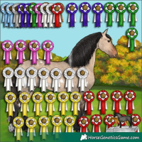 Horse Color:White Spotted Bay Dun