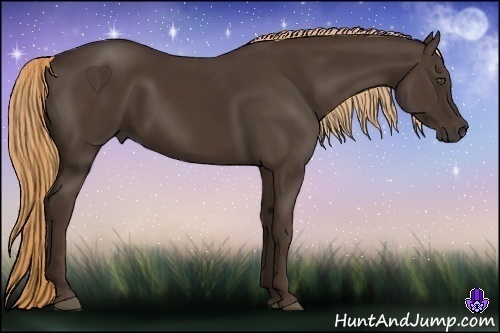 Horse Color:Liver Chestnut 