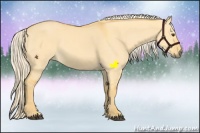 Horse Color:Palomino Dun