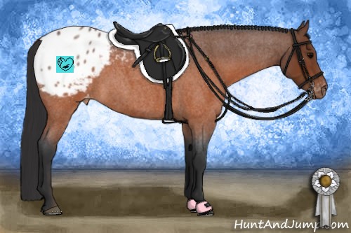 Horse Color:Brown Roan Appaloosa 