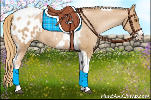 Horse Color:Red Roan Pearl Tobiano Blanket
