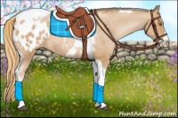 Horse Color:Red Roan Pearl Tobiano Blanket 