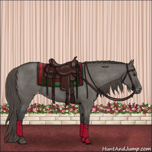 Horse Color:Grullo Varnish