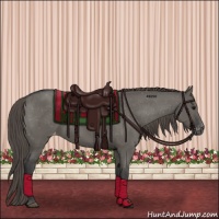Horse Color:Grullo Varnish 