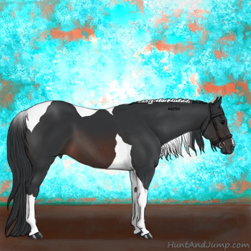 Horse Color:Brown Tobiano 