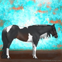 Horse Color:Brown Tobiano