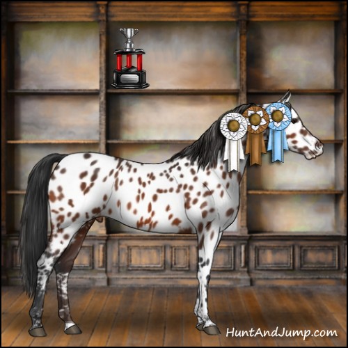 Horse Color:Brown Tobiano Near Leopard 
