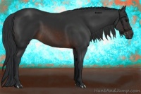 Horse Color:Brown Tobiano