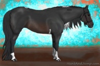 Horse Color:Brown Tobiano 