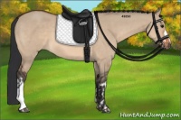 Horse Color:Bay Dun  and Bay Dun 