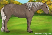 Horse Color:Silver Black 