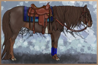 Horse Color:Liver Chestnut 