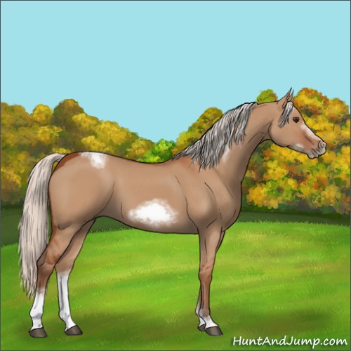 Horse Color:Silver Bay Dun Sabino Tobiano Frame Rabicano 