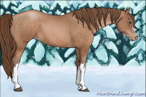 Horse Color:Brown Pearl 