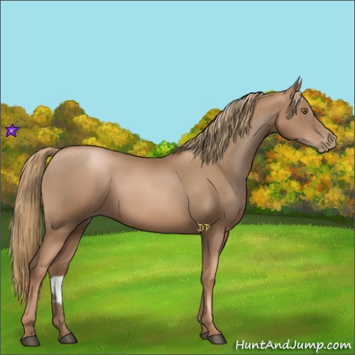 Horse Color:Liver Chestnut Pearl