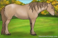 Horse Color:Black Pearl 