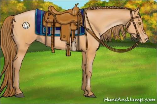 Horse Color:Bay Pearl 