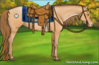 Horse Color:Bay Pearl 