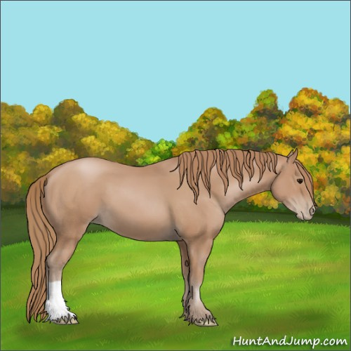 Horse Color:Black Pearl