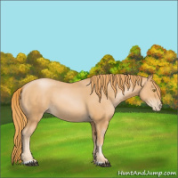 Horse Color:Chestnut Pearl 