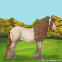 Horse Color:Bay Pearl Dun 