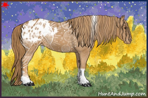 Horse Color:Chestnut Tobiano Blanket 