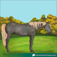 Horse Color:Midnight Chestnut Ice Pearl 