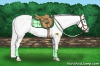 Horse Color:Silver Perlino Dun 