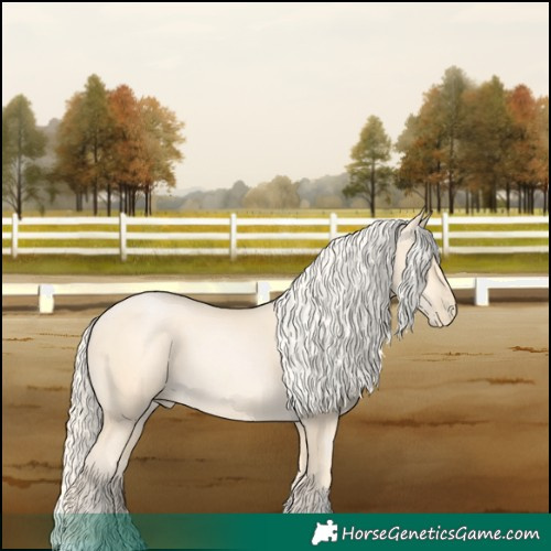 Horse Color:Chestnut Snowdrop Pearl 
