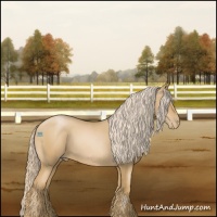Horse Color:Chestnut Pearl 