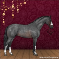 Horse Color:Brown Roan