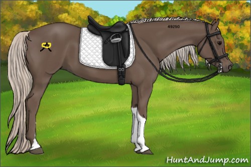Horse Color:Silver Black 