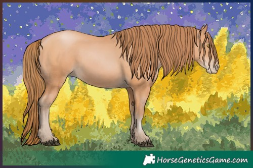 Horse Color:Bay Pearl 