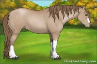 Horse Color:Black Pearl 