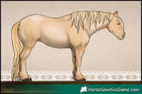 Horse Color:Chestnut Pearl 