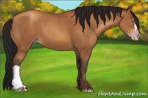 Horse Color:Gray Amber Champagne 