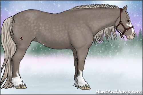 Horse Color:Silver Blue Roan Sabino 